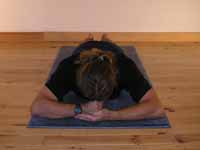 Posture cobra ecole yoga aix